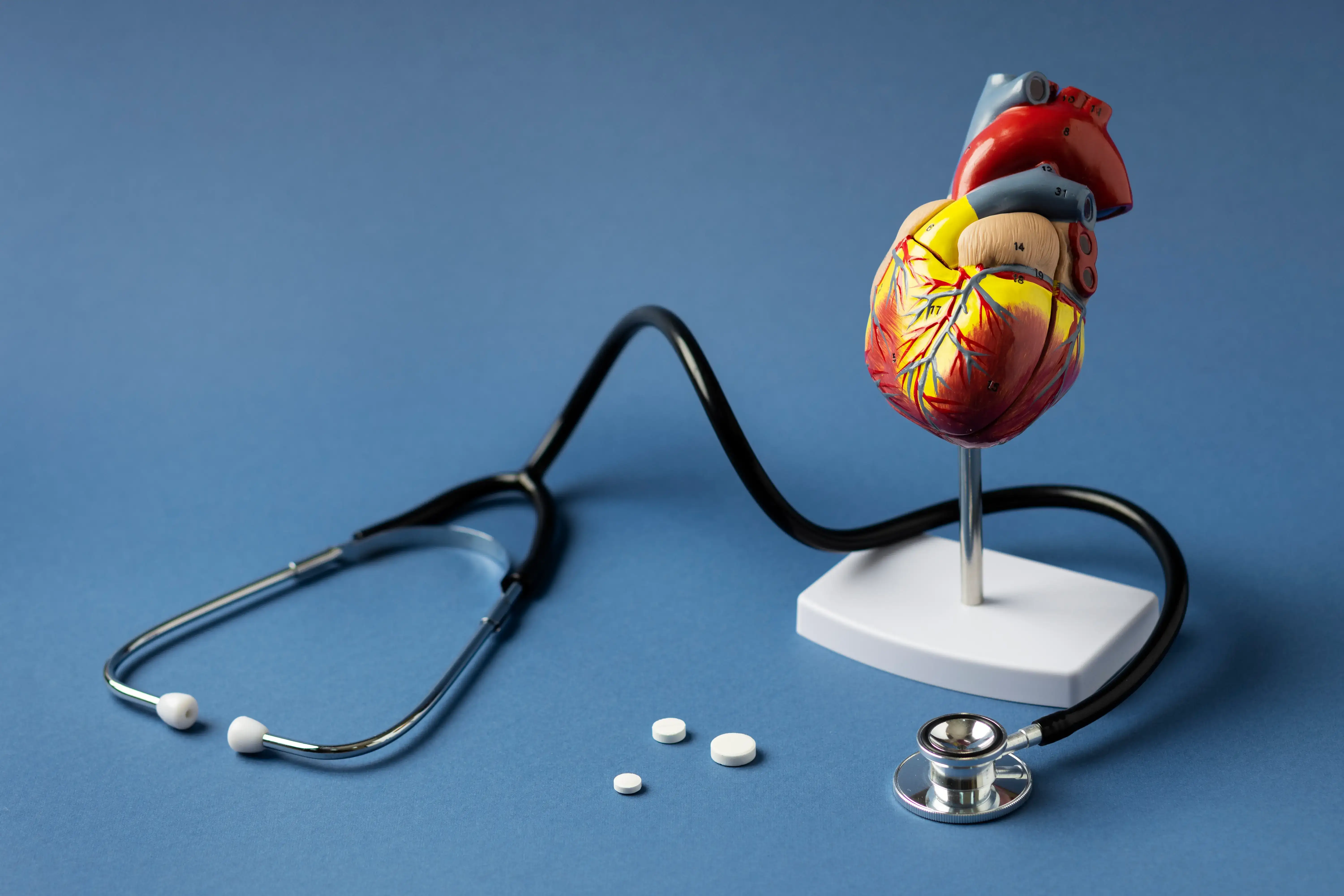 Cardiology