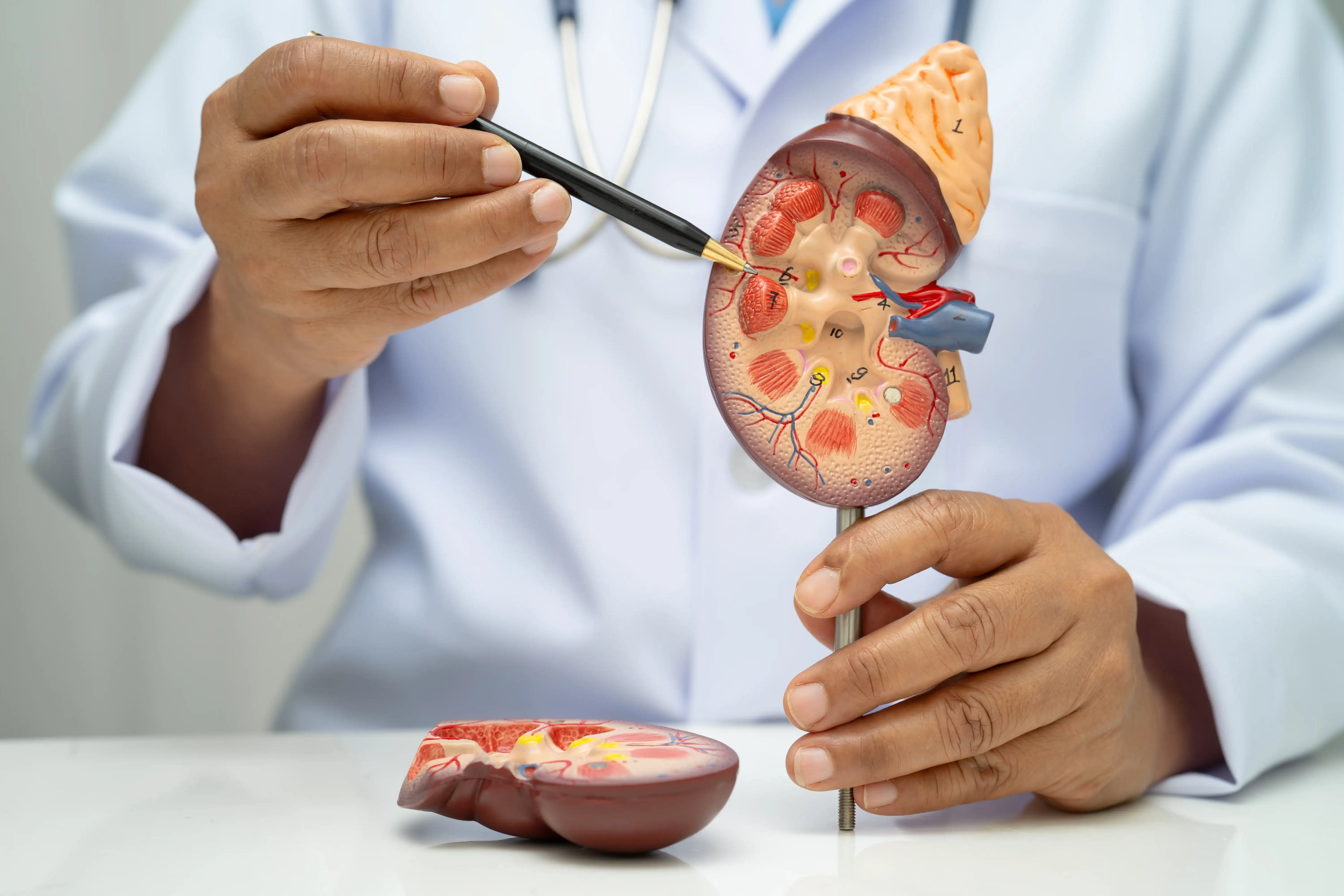 Nephrology